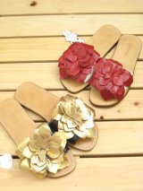 grin、HYSMINI、OIL、D&D、グラグラ、ムチャチャ入荷。