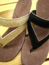 快晴堂、PEEP(ZOOM)入荷。