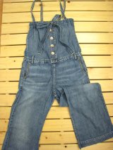 OIL、MH、ケイキイ、ムチャチャ、D&D、GOTOHO、ヴェリテクール入荷。