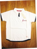 快晴堂　疾風　入荷。