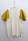 画像3: 30%off Geewhiz　  suteso/Tシャツ　　　カラー；ivory (3)