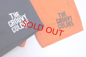 画像2: ☆ GC　ツイル　EASY　SPN (2)