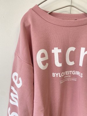 画像2: 30%off by LOVEiT  パネルロゴプルオーバー  11:ピンク (2)
