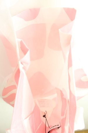 画像4: 50%off  フランキーグロウ  TAPOIDERY BEAR TULLE BAG   カラー;PINK LETTERS サイズ;F (4)