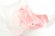 画像5: 40%off フランキーグロウ　 TAPOIDERY BEAR TULLE BAG   カラー；PINK LETTERS　サイズ；F (5)