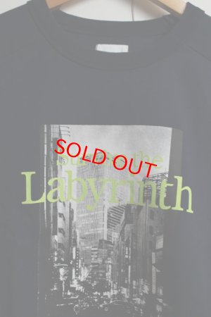 画像3: 40%off ハイキング　labyrinth スウェット　201;NAVY (3)