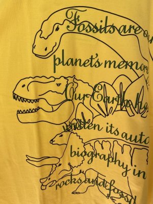 画像2: 50%off 2024SS　　gomme　Tシャツ　　2：イエロー　　サイズ；M (2)