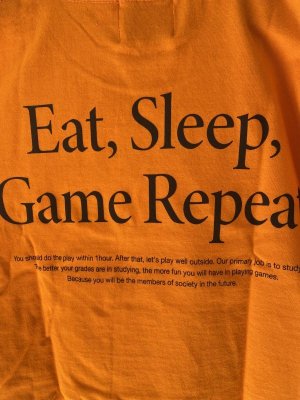 画像3: 30%off ハイキング　habit short sleeve 　　orange (3)