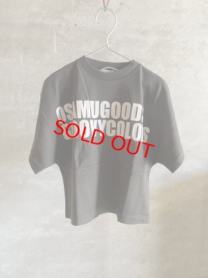 画像1: ☆GC　  テンジク OSAMU GOODS ワイドシルエット　TEE    17:チャコール (1)