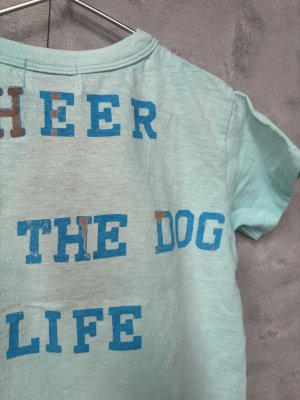 画像4: 40%off 2025春夏 DENIMDUNGAREE   ビンテージテンジク CHEER TEE  44;ライトブルー (4)