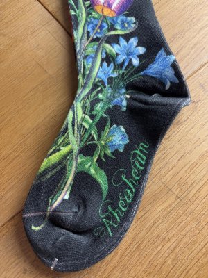 画像2: ☆あちゃちゅむ　　　お花カラー　ソックス　　 (2)