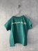 画像1: 2025春夏　DENIMDUNGAREE　テンジク DREAMS TEE　　8；グリーン (1)