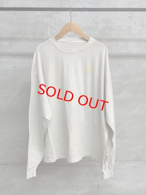 画像1: VC　CC-503 PRINT L/S TEE　　 カラー；garyge  サイズ:F (1)