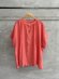 画像1: LILOU+LILY 　30COTTON WAVY VOILE WIDE GATHER BLOUSES 2501FP-0403　　ピンク 　size:38 (1)