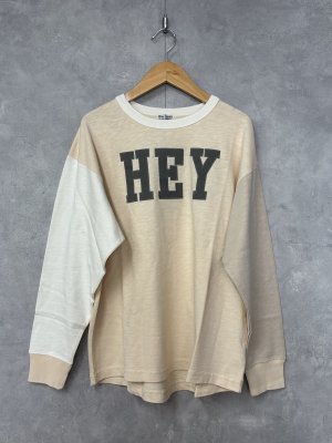 画像1: 2025秋冬　DENIMDUNGAREE　テンジク HEY TEE　11；生成 (1)
