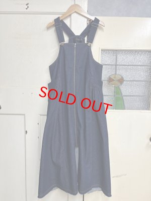 画像1: 2025秋冬   nunuforme   デニムジップジャンパースカート  ONE WASH  (1)