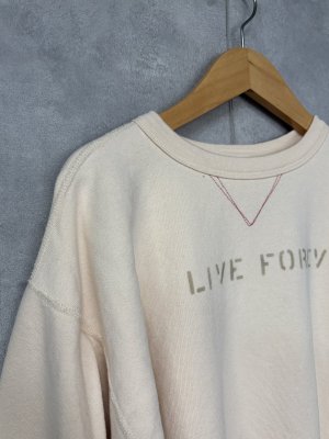 画像2: 2025秋冬　DENIMDUNGAREE　　ビンテージウラケ DOG スウェット　　1；白 (2)