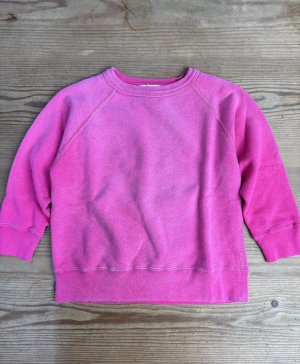 画像1: 2025秋冬　DENIMDUNGAREE　　ビンテージウラケ ワッペン スウェット　　6；ピンク (1)