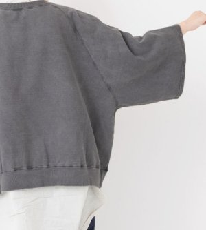 画像5: Veritecoeur   Pigment dye スウェットプルオーバー (5)