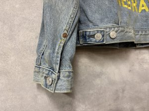 画像4: 2025秋冬　DENIMDUNGAREE  　　エアデニム シシュウ JK　　44；淡ブルー (4)