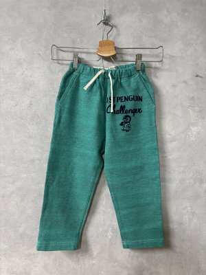 画像1: 2025秋冬　DENIMDUNGAREE　  インレイウラボーダー PENNIE PN　　28；ライトグリーン (1)