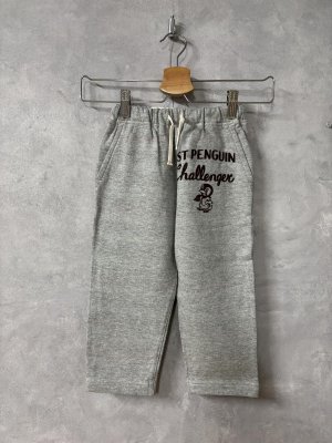 画像1: 2025秋冬　DENIMDUNGAREE　  インレイウラボーダー PENNIE PN　　3；グレー (1)