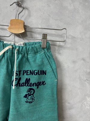 画像2: 2025秋冬　DENIMDUNGAREE　  インレイウラボーダー PENNIE PN　　28；ライトグリーン (2)