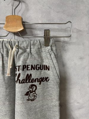 画像2: 2025秋冬　DENIMDUNGAREE　  インレイウラボーダー PENNIE PN　　3；グレー (2)