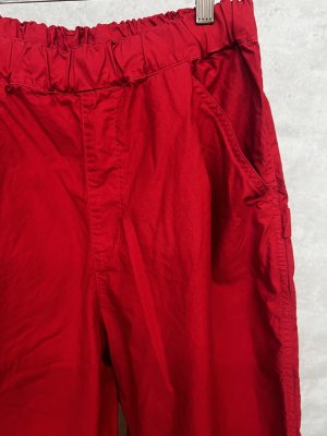 画像2: NATURAL LAUNDRY 　バックツイルイージーペインターパンツ　　340:レッド系　　サイズ2 (2)