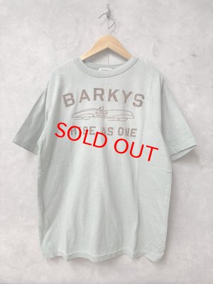 画像1: 2026春夏 　DENIMDUNGAREE　ビンテージテンジク BARKYS TEE　　28；ライトグリーン　　サイズ；MM (1)