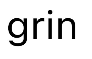 画像1: grin　バラレル度詰めAラインSK　990:ブラック　サイズ:2 (1)