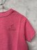 画像2: 2026春夏 　DENIMDUNGAREE　　テンジク PENNIE DYED TEE　6；ピンク (2)