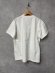 画像3: 2026春夏　 groovycolors　テンジク BUDDY S/S TEE　　1；白 (3)