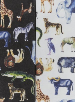 画像2: OCEAN&GROUND 　　アニマルプリントカットソーロンパス　　 (2)