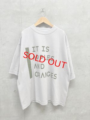 画像1: Veritecoeur　プリントTee 　GRAY (1)