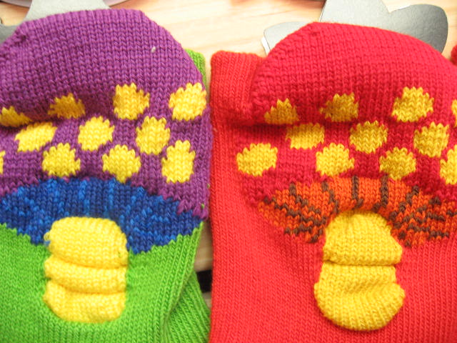 ムチャチャ入荷！